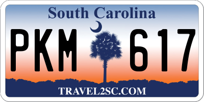 SC license plate PKM617