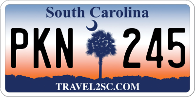 SC license plate PKN245