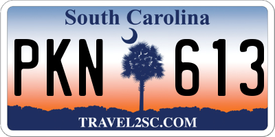 SC license plate PKN613