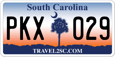 SC license plate PKX029