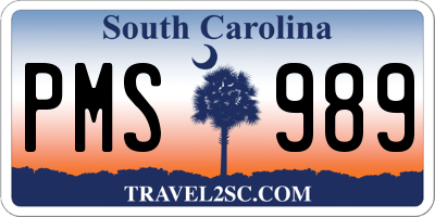 SC license plate PMS989