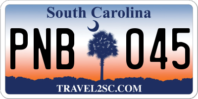SC license plate PNB045