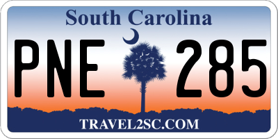 SC license plate PNE285
