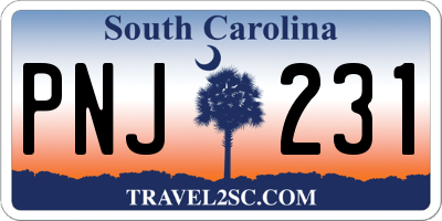 SC license plate PNJ231