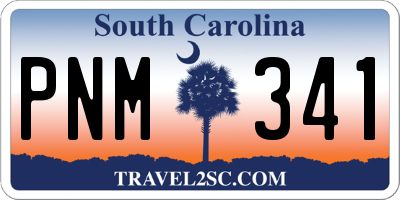 SC license plate PNM341