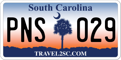 SC license plate PNS029