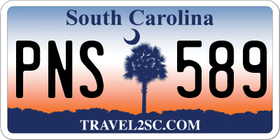 SC license plate PNS589