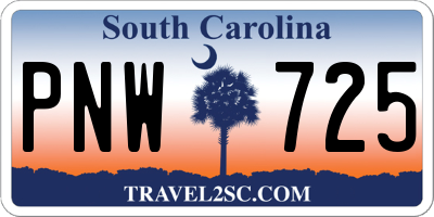 SC license plate PNW725