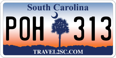 SC license plate POH313