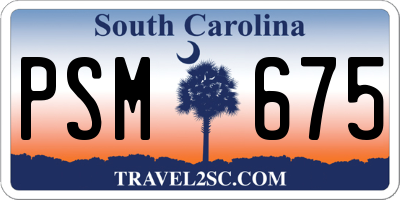 SC license plate PSM675