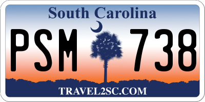SC license plate PSM738