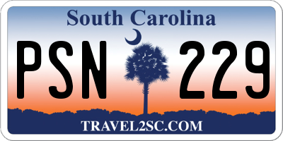 SC license plate PSN229
