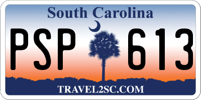 SC license plate PSP613
