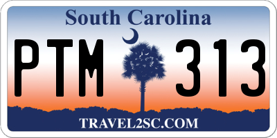 SC license plate PTM313