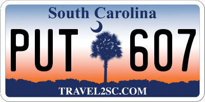 SC license plate PUT607