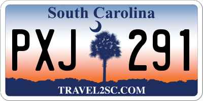 SC license plate PXJ291
