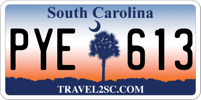 SC license plate PYE613