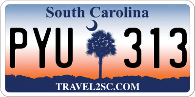 SC license plate PYU313