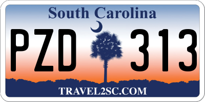 SC license plate PZD313
