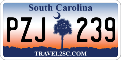 SC license plate PZJ239