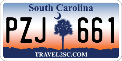 SC license plate PZJ661