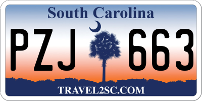 SC license plate PZJ663