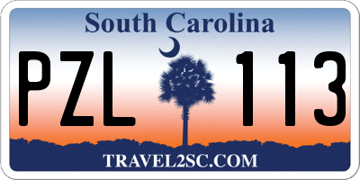 SC license plate PZL113