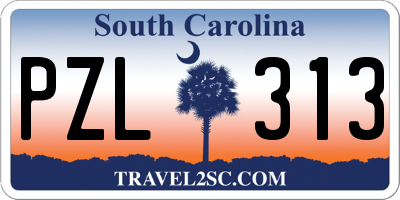 SC license plate PZL313