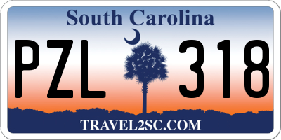 SC license plate PZL318