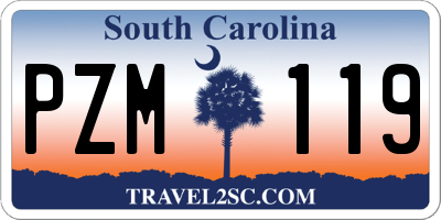 SC license plate PZM119