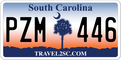 SC license plate PZM446