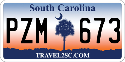SC license plate PZM673
