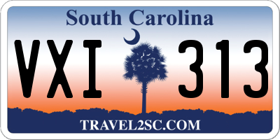 SC license plate VXI313