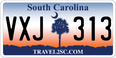 SC license plate VXJ313