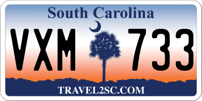 SC license plate VXM733