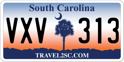 SC license plate VXV313