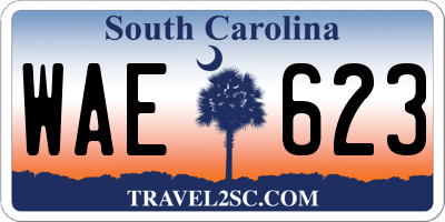 SC license plate WAE623