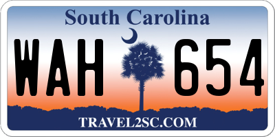 SC license plate WAH654