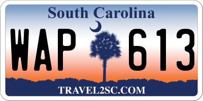 SC license plate WAP613