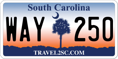 SC license plate WAY250