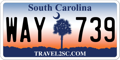 SC license plate WAY739