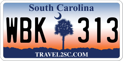SC license plate WBK313