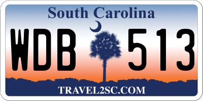SC license plate WDB513