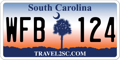 SC license plate WFB124