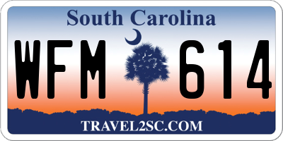 SC license plate WFM614
