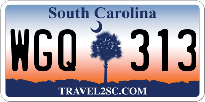 SC license plate WGQ313