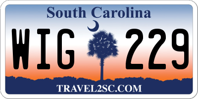 SC license plate WIG229