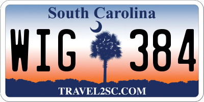 SC license plate WIG384