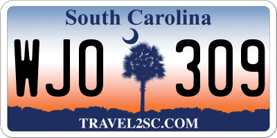 SC license plate WJO309