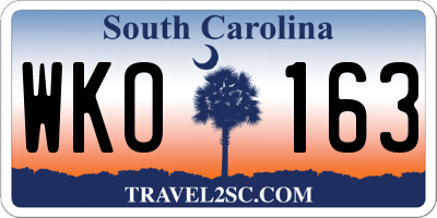 SC license plate WKO163